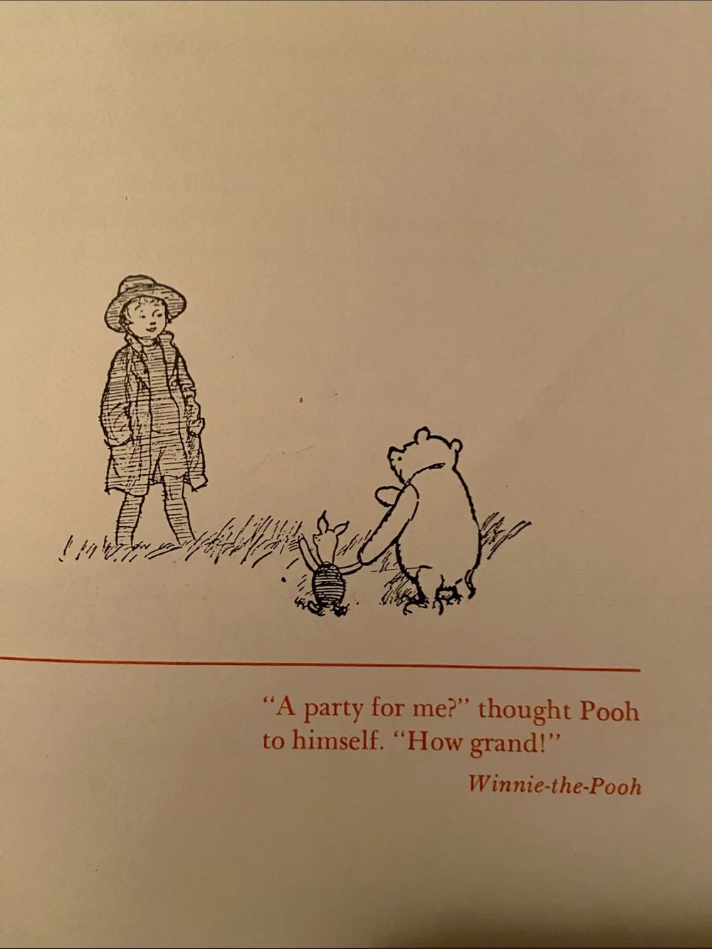 Winnie-the-Pooh nice cheerful wonderful